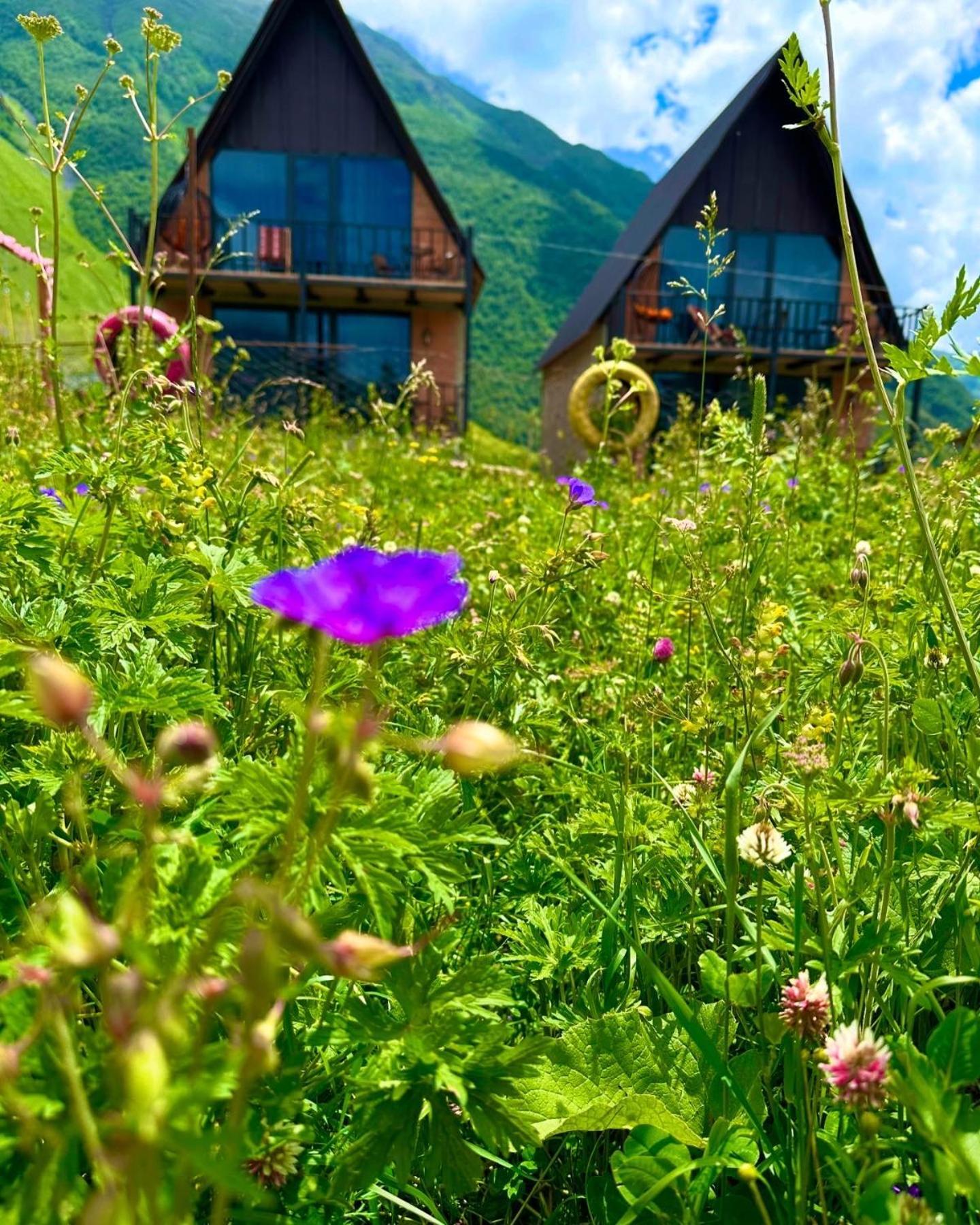 Royal Cottages Kazbegi Esterno foto