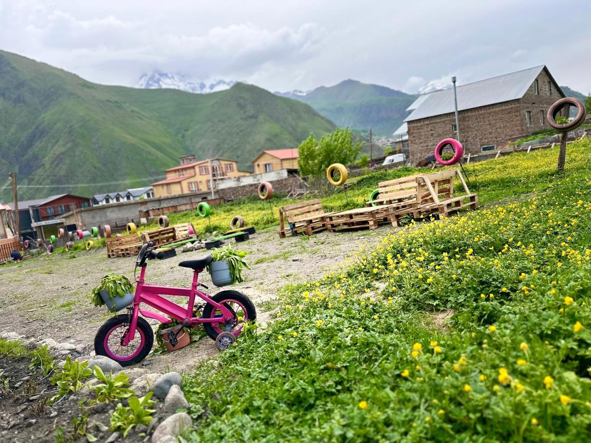 Royal Cottages Kazbegi Esterno foto